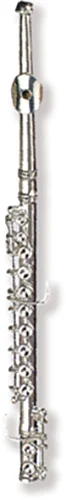 Flute magnetic