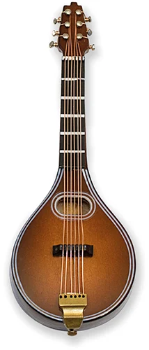 Mandolin magnetic