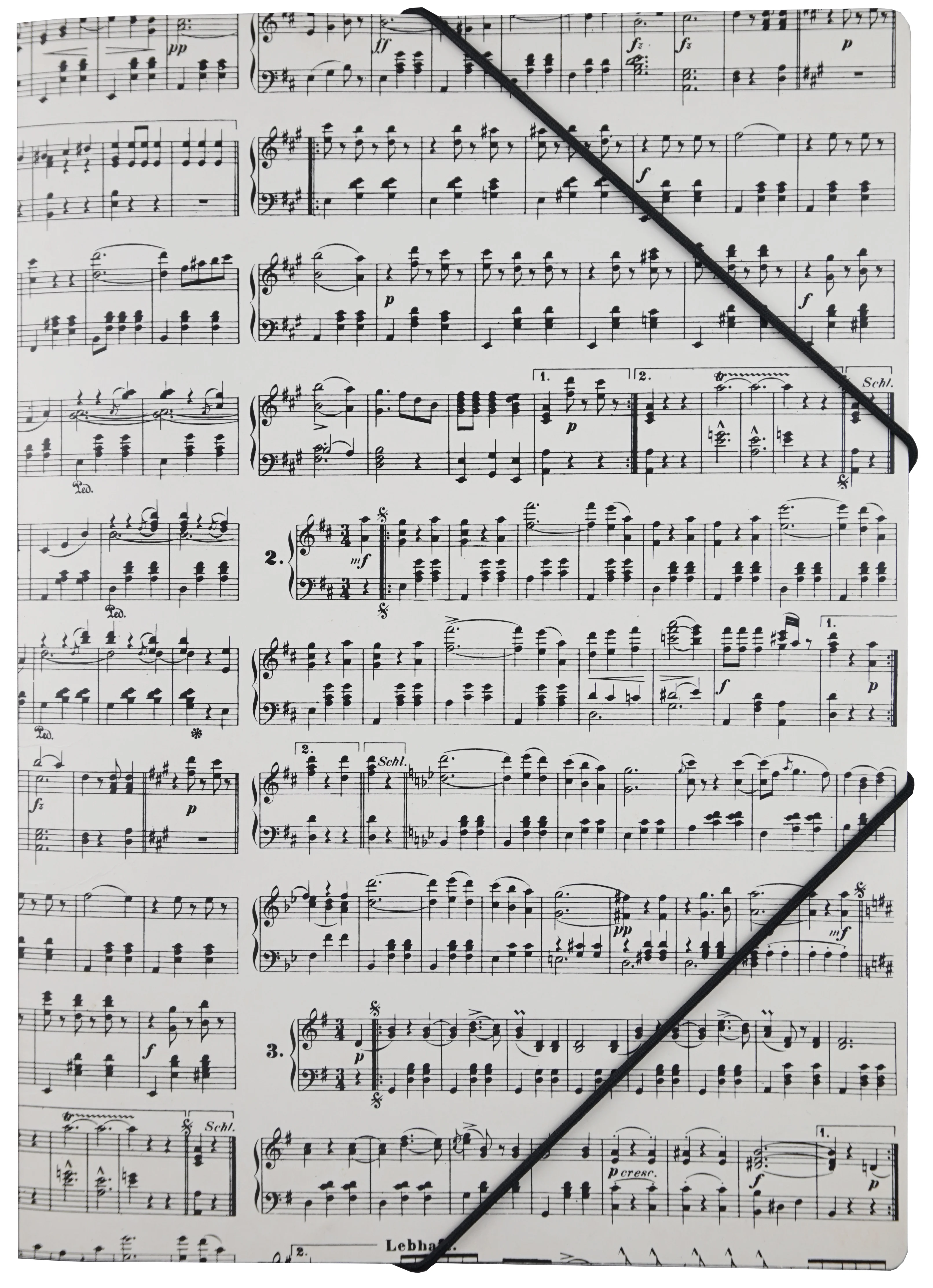 File with elastic band Strauss